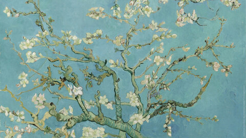 Collezione Van Gogh© of Ceramica Francesco De Maio x Van Gogh